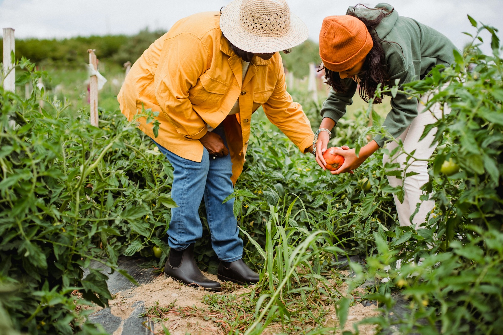 Gardens for Growing Healthy Communities