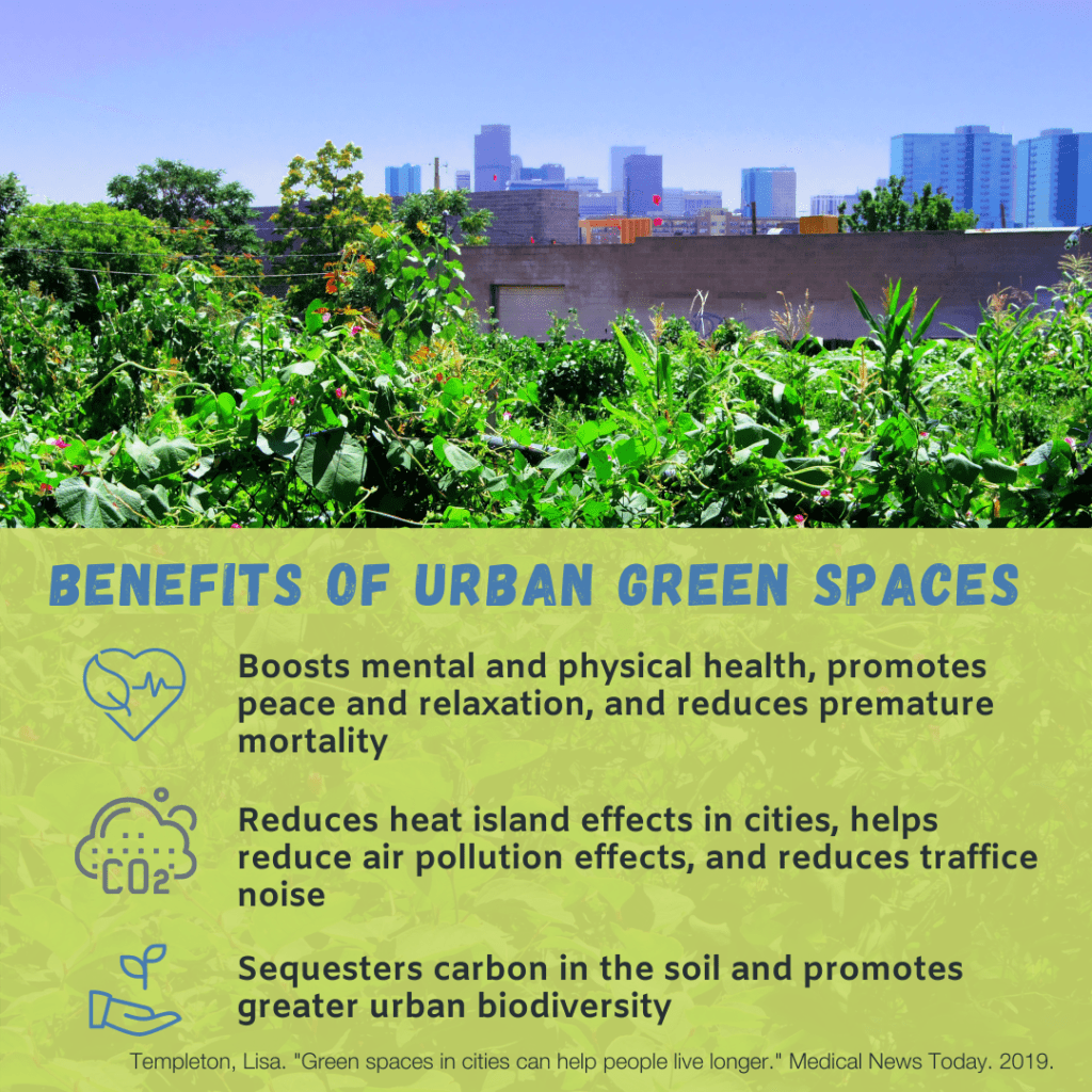 Why Is Creating Green Space Important For Sustainable Urban Living