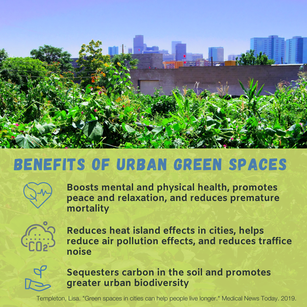 the-importance-of-urban-green-spaces-denver-urban-gardens