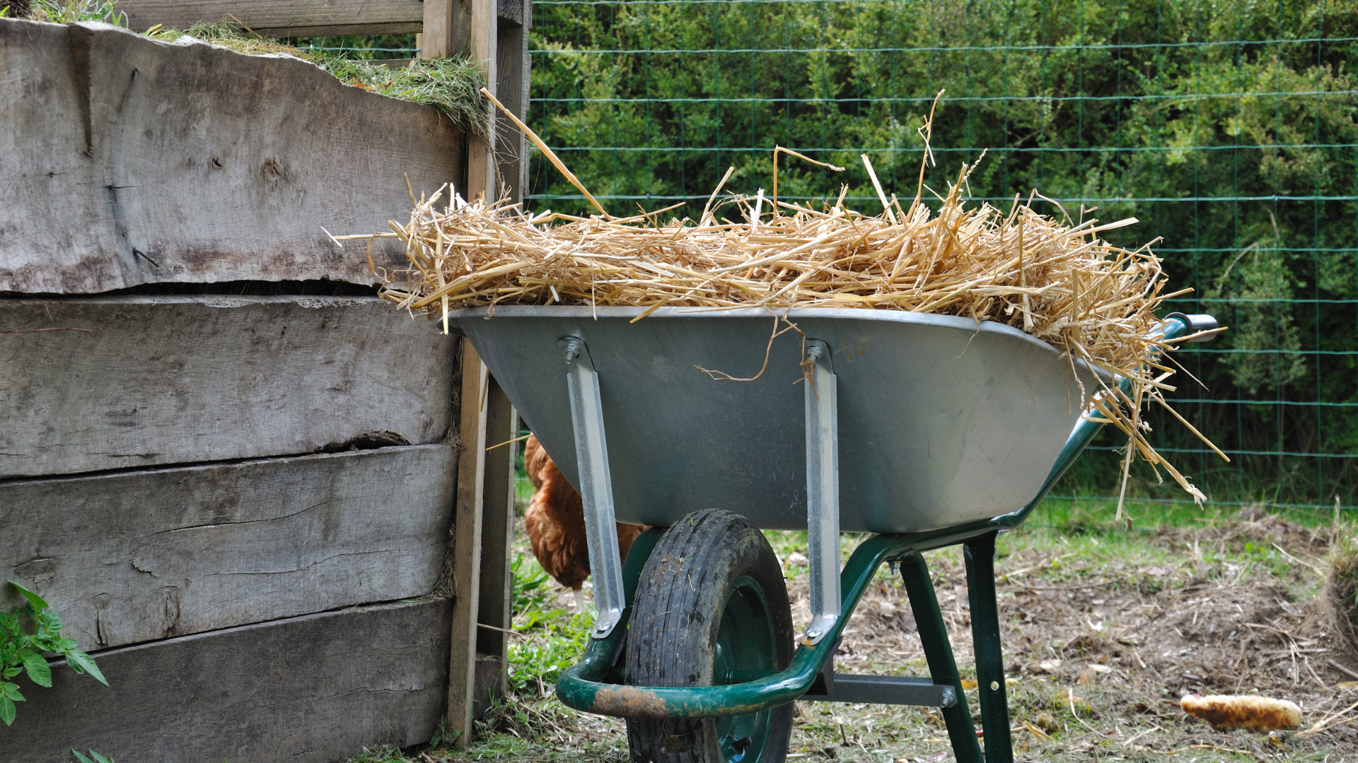 Prepping Your Fall Garden: Mulch, Garlic, and Cover Crops!
