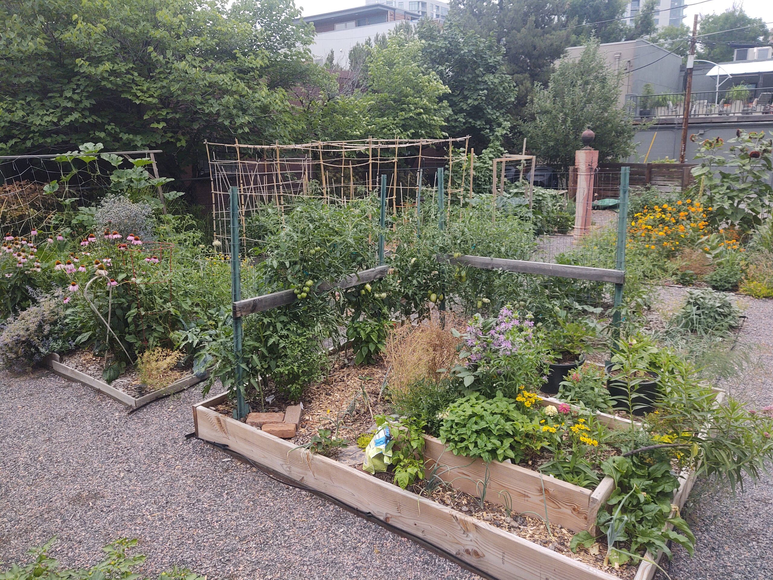 How To Edge A Garden Plot With Wood Denver Urban Gardens