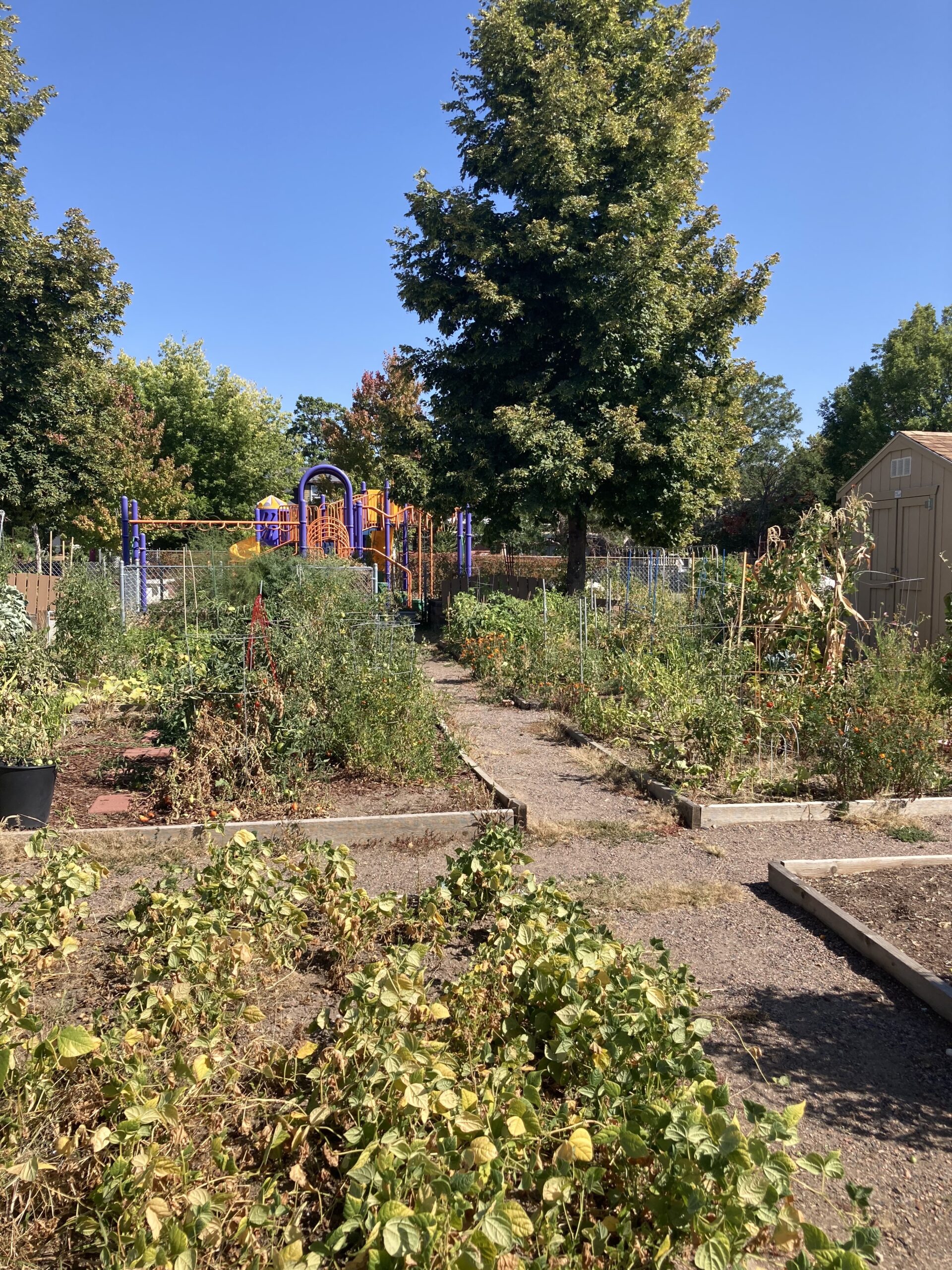 Our Next Community Garden is Coming to Union Station Neighborhood!