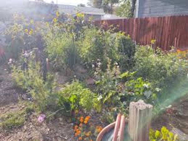 Community Supported Agriculture