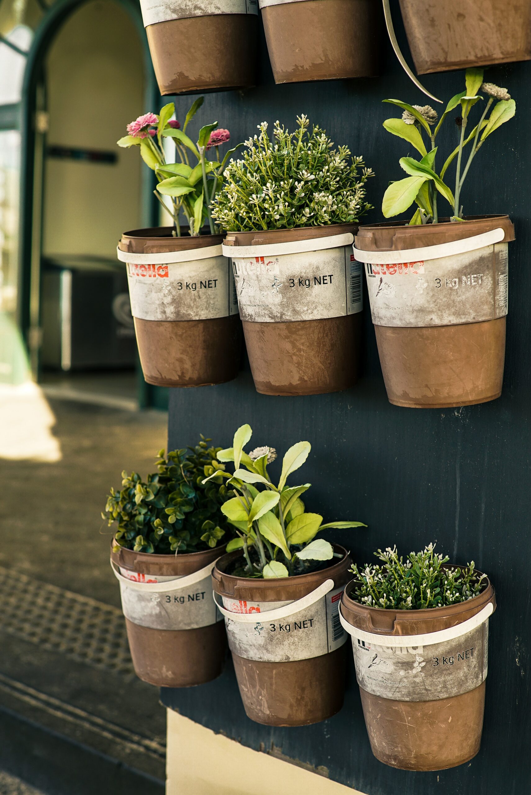 Guide to Container Gardening