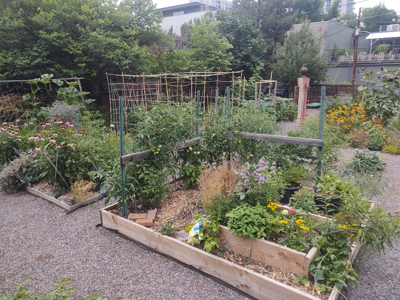 Is the Urban Farming Movement Here to Stay?
