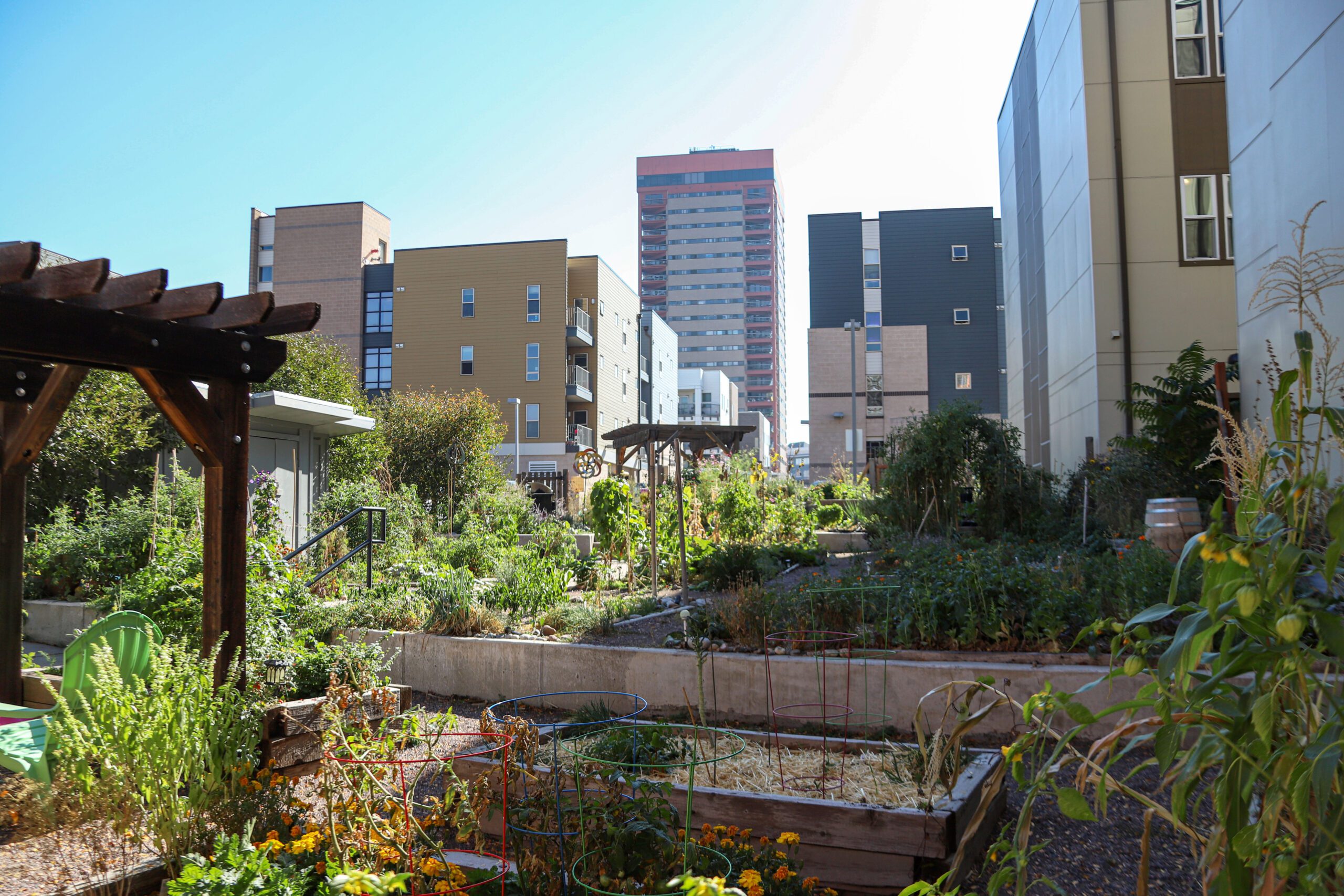 Jardinería creativa en espacios urbanos