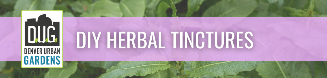 DIY Herbal Tinctures: Making Herbal Extracts with Fresh Plant Material