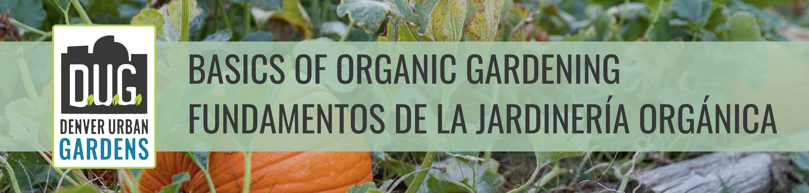 Basics of Organic Gardening