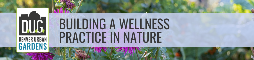 Building a Wellness Practice in Nature