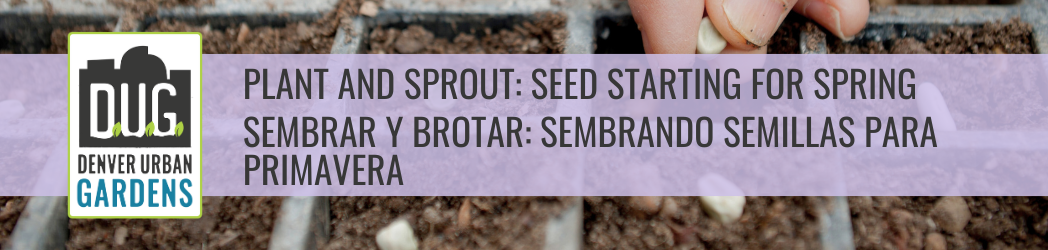 Plant and Sprout: Seed Starting for Spring