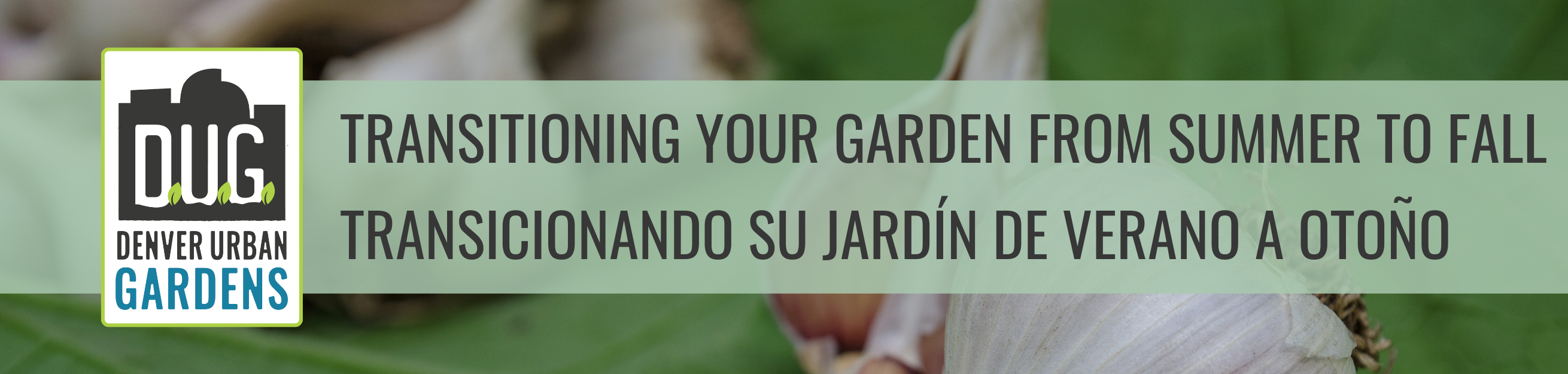 Transitioning Your Garden From Summer To Fall