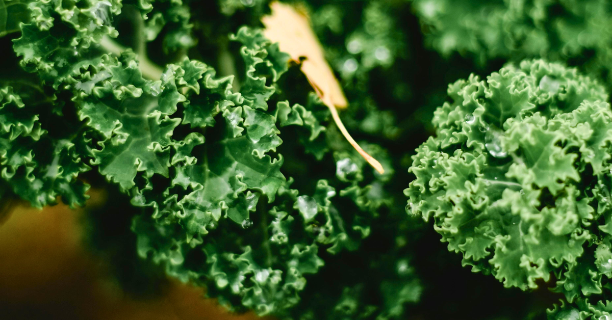 ¿Qué significa cultivar de forma orgánica?