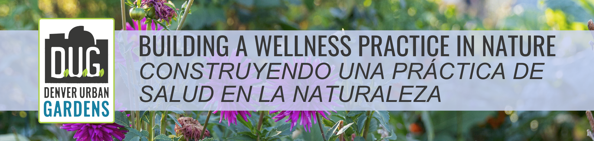 Building a Wellness Practice in Nature