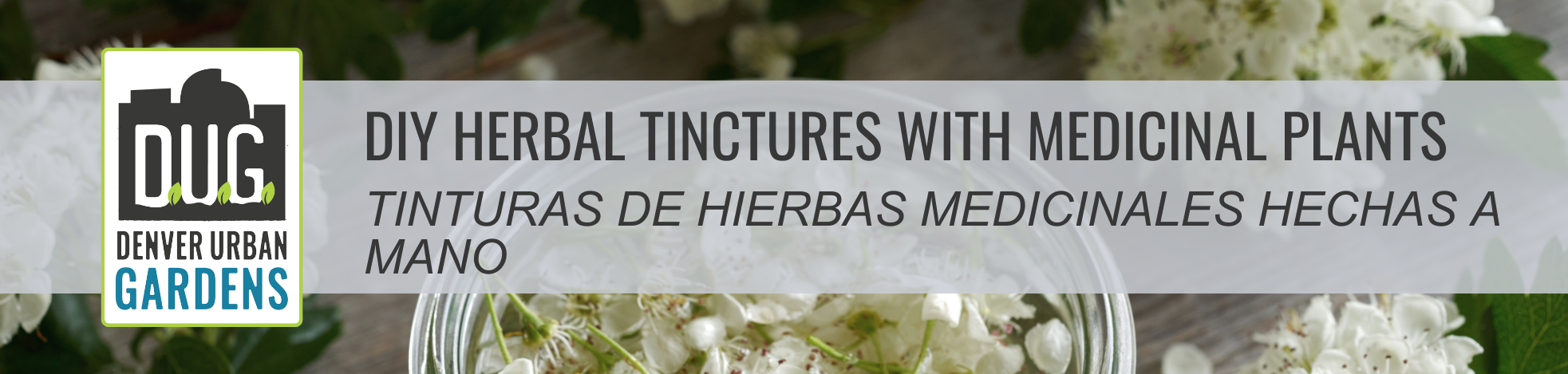 DIY Herbal Tinctures with Medicinal Plants