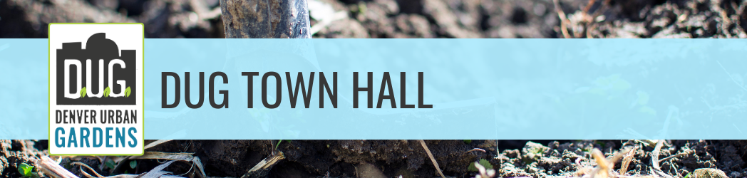 DUG Town Hall