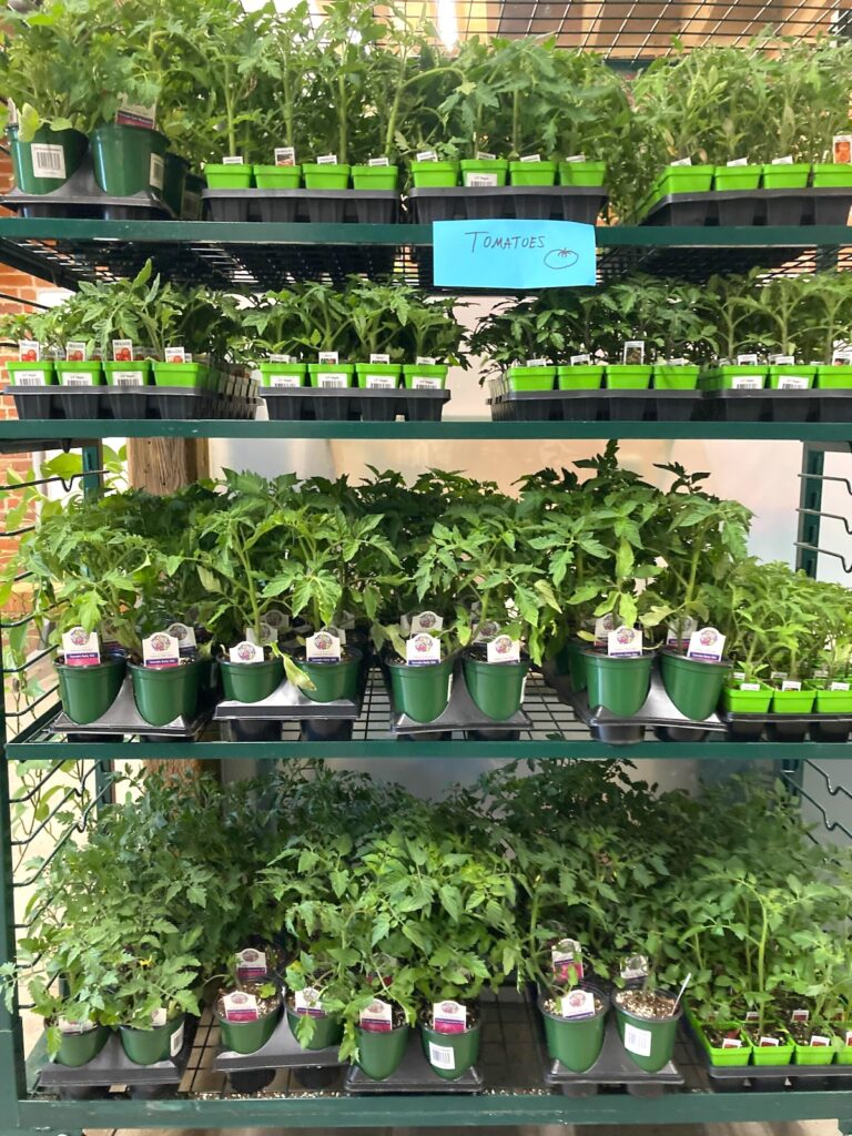 IMG_4422-scaled - Denver Urban Gardens