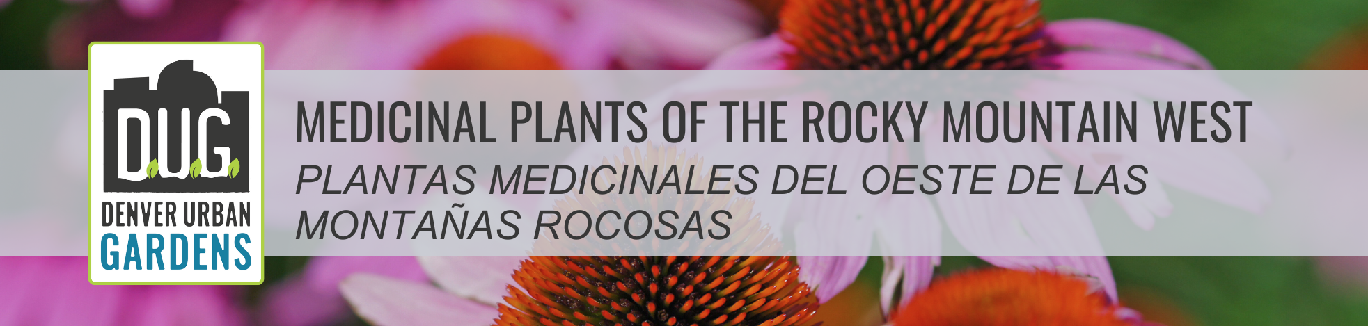 Medicinal Plants of the Rocky Mountain West