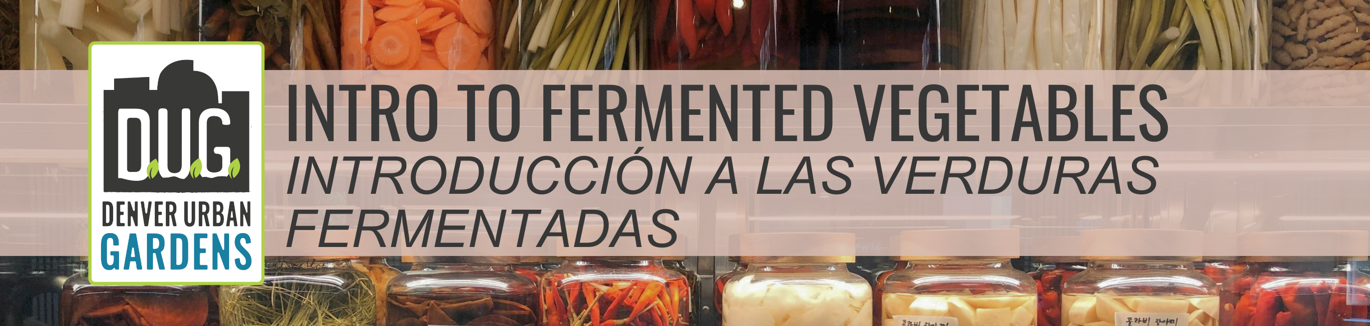 Intro to Fermented Vegetables