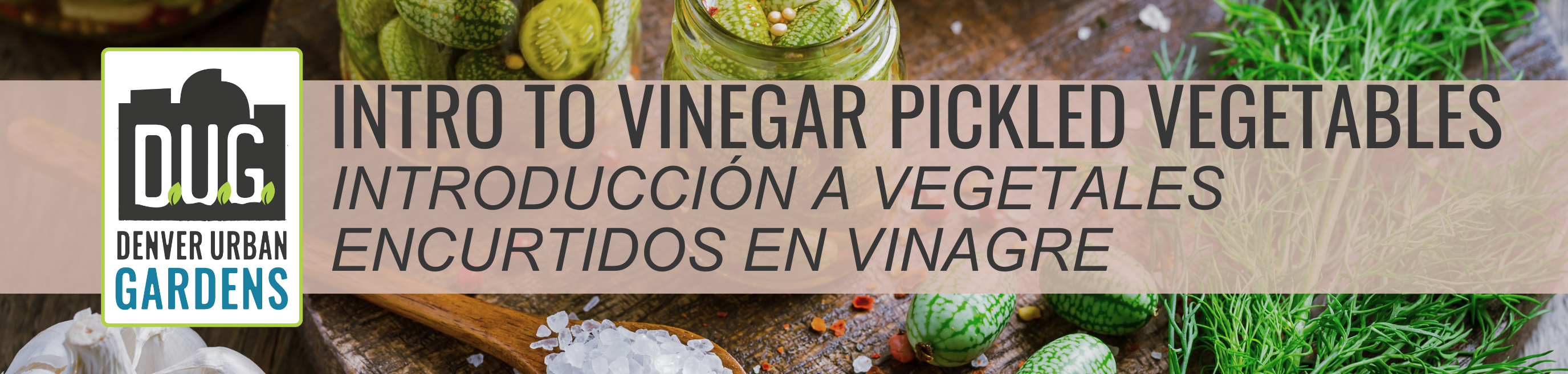 Vinegar Pickles and Vegetable Canning