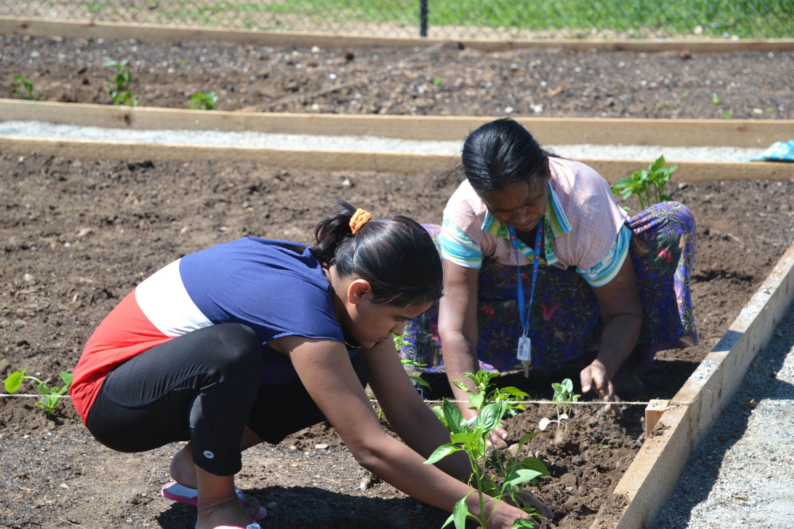 How Community Involvement Supports Neighborhood Health