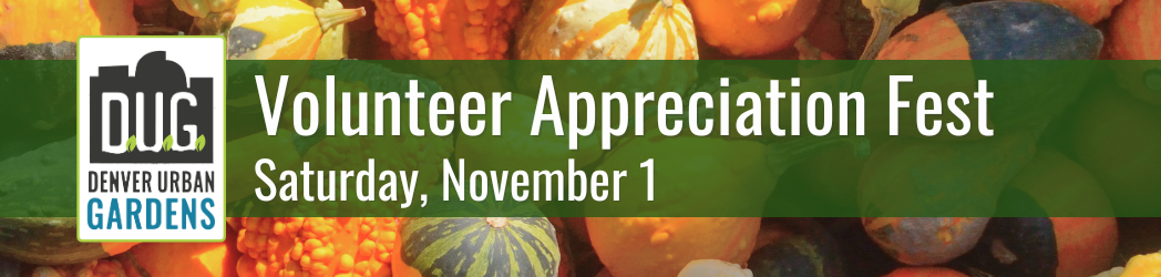 2025 Volunteer Appreciation Fest