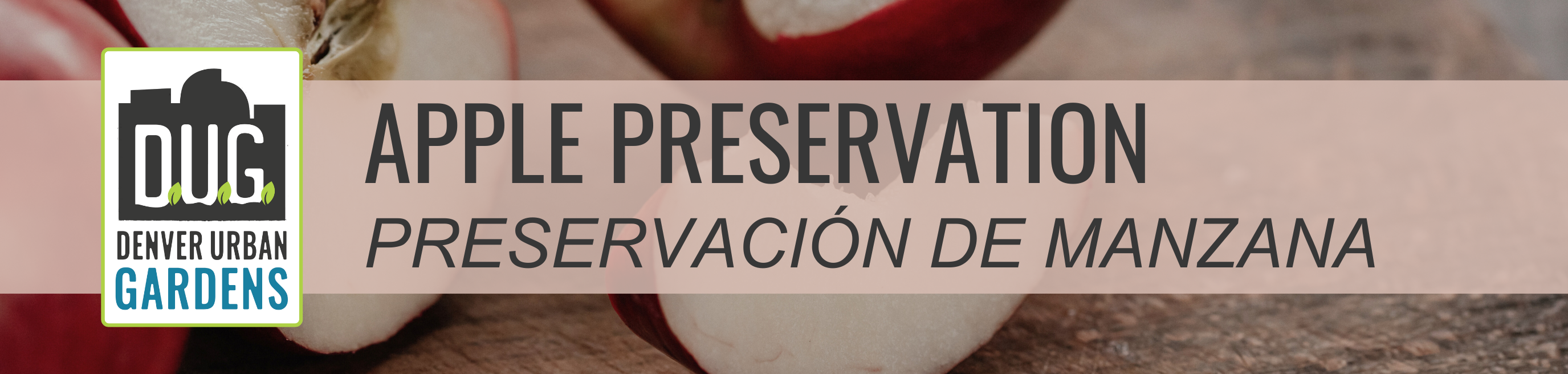 Apple Preservation: Cider to Fruit Leather