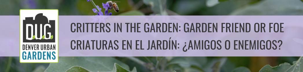 Critters in the Garden: Garden Friend or Foe
