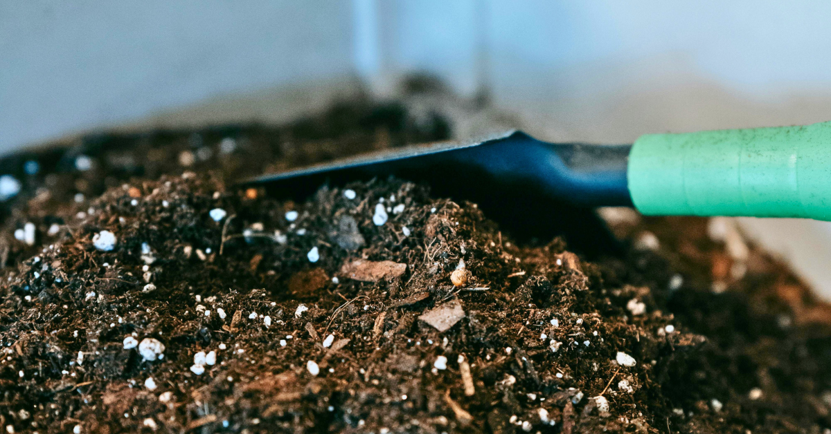 Fertilization Tips for Organic Gardens