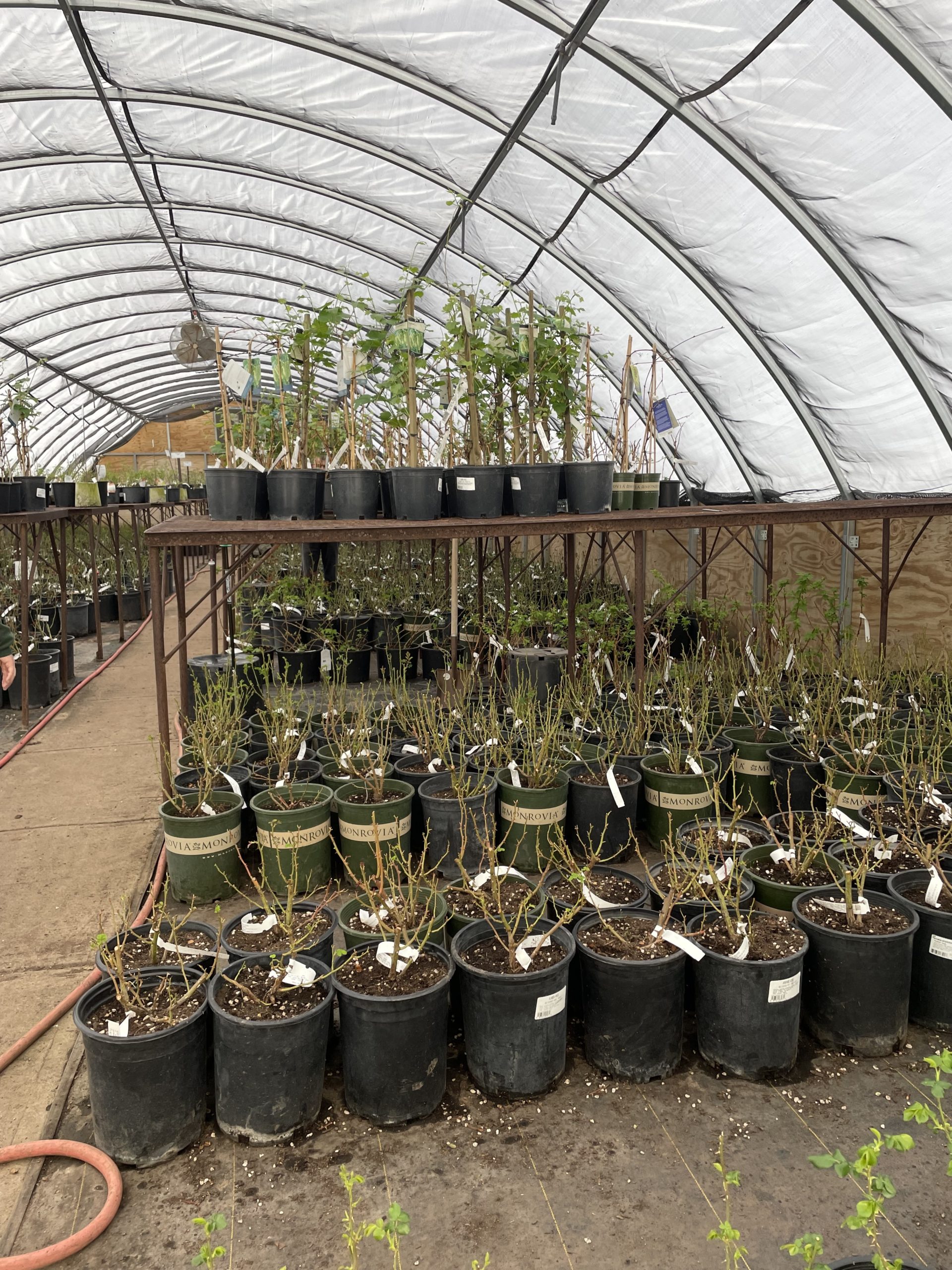 DUG Launches New Partnership with The Giving Grove