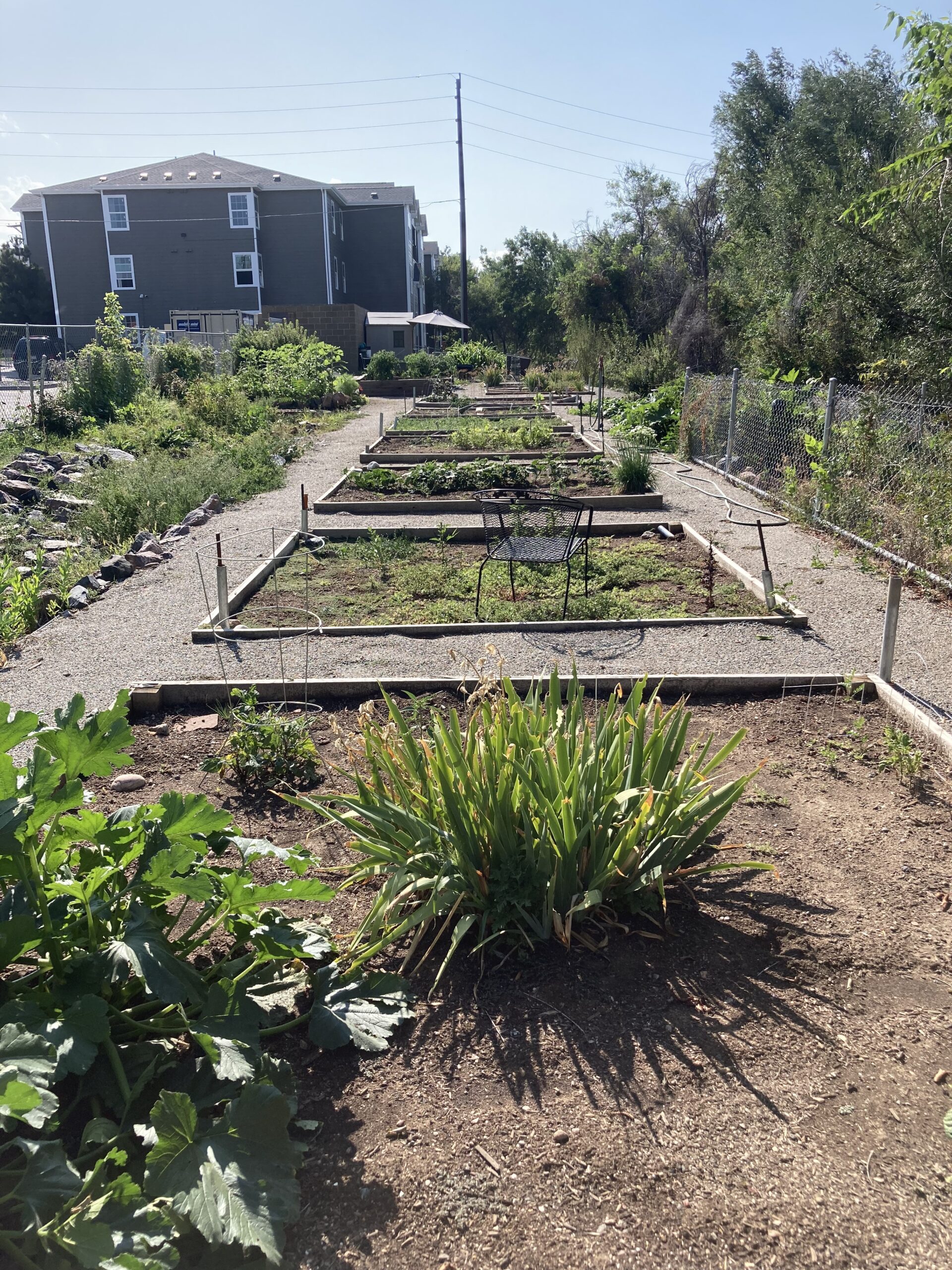 How to Edge a Garden Plot with Wood