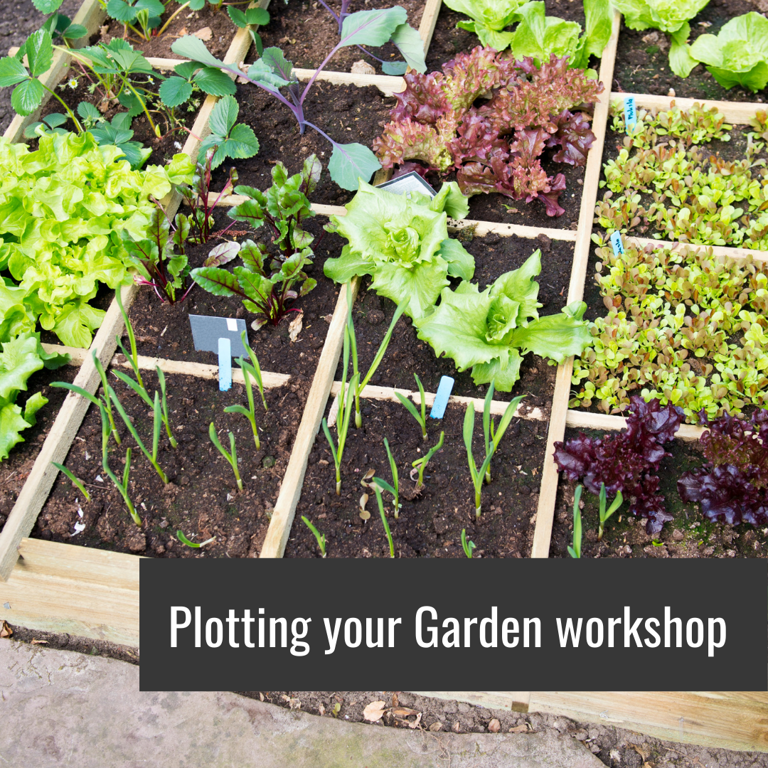 Clase magistral sobre la planificación de su jardín