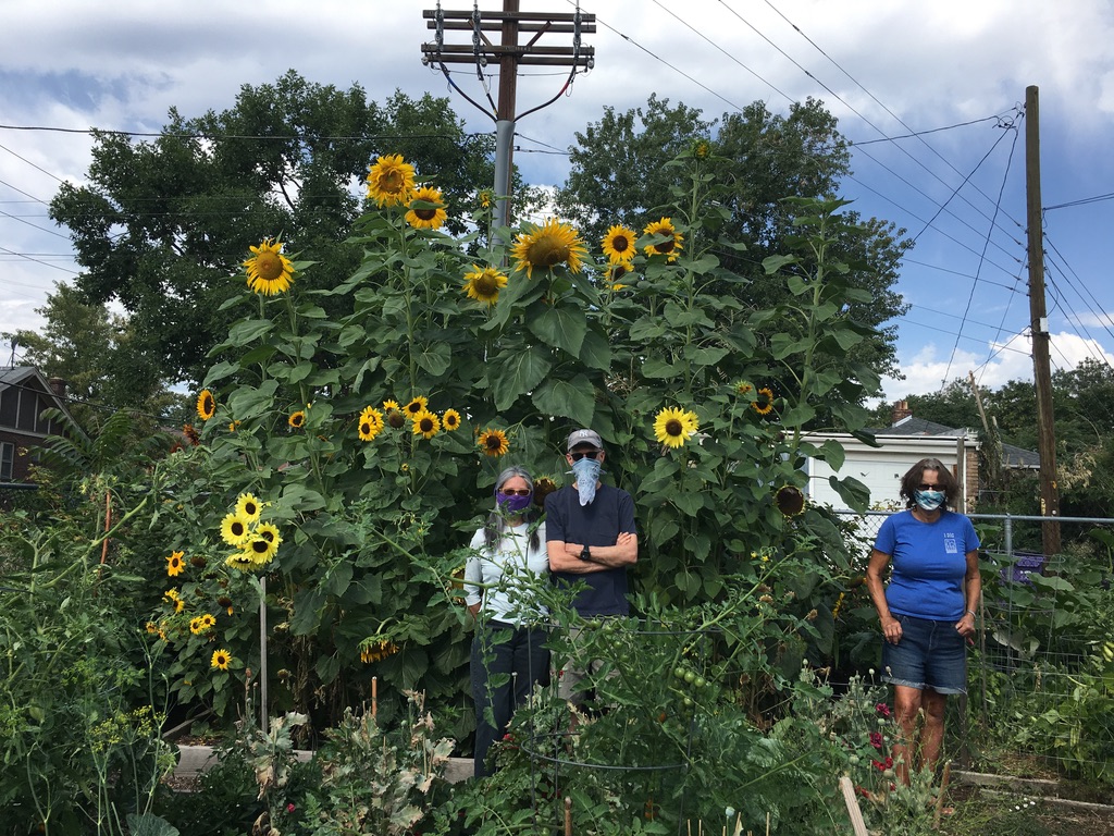 2020 Outstanding Garden Leader Awards