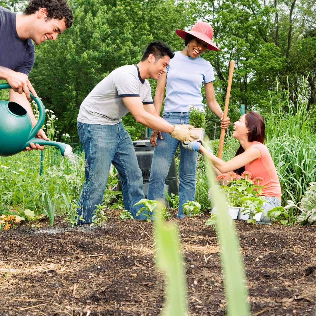 The Science is in: Gardening is GOOD for You!