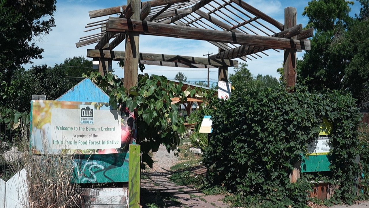 Denver7 | Food forest…
