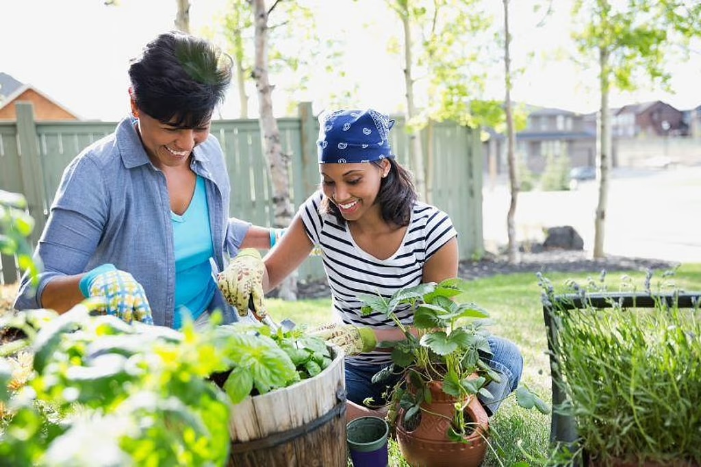 HealthDay News | Community Gardening Improves Well-Being for Adults