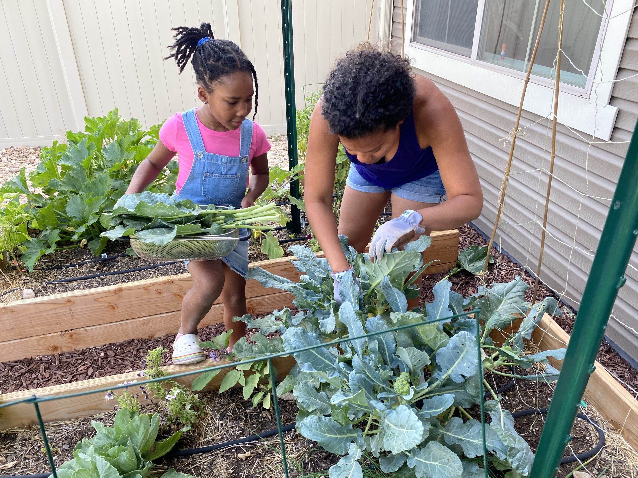 Jardinería en familia