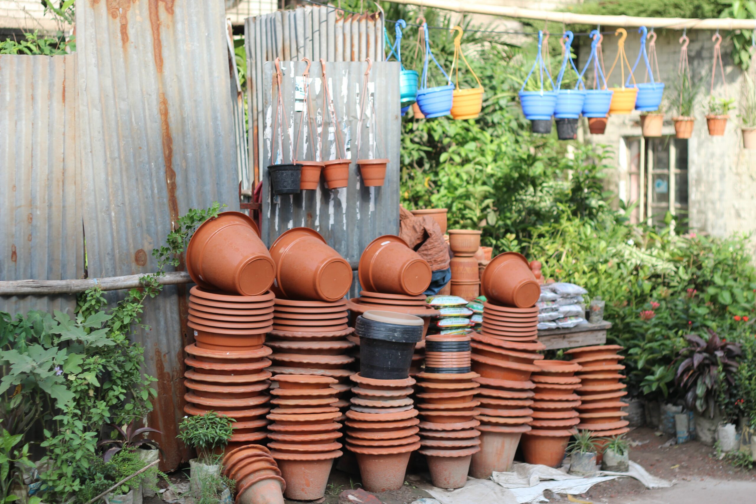 Guide to Container Gardening