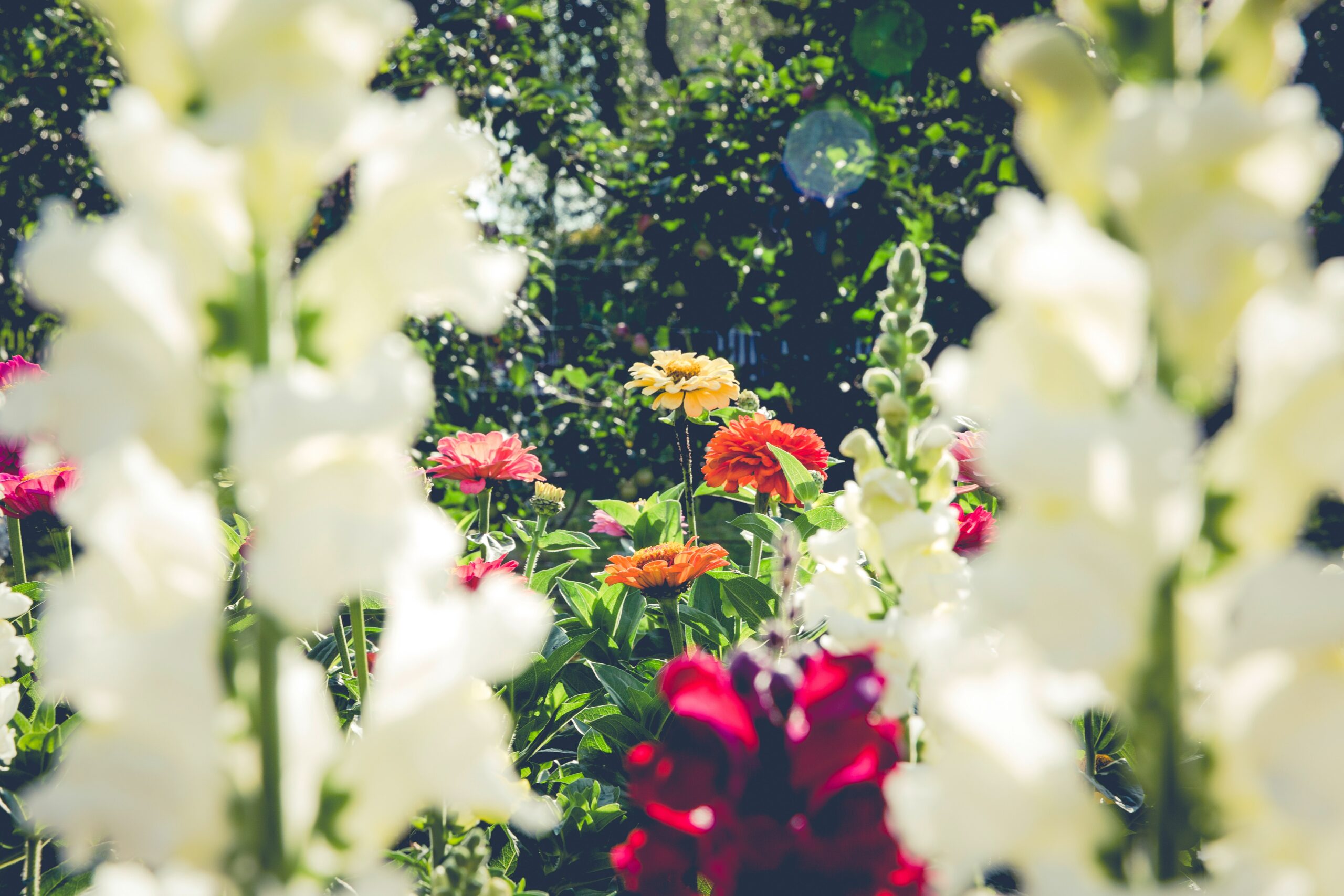 Putting the Garden to Bed