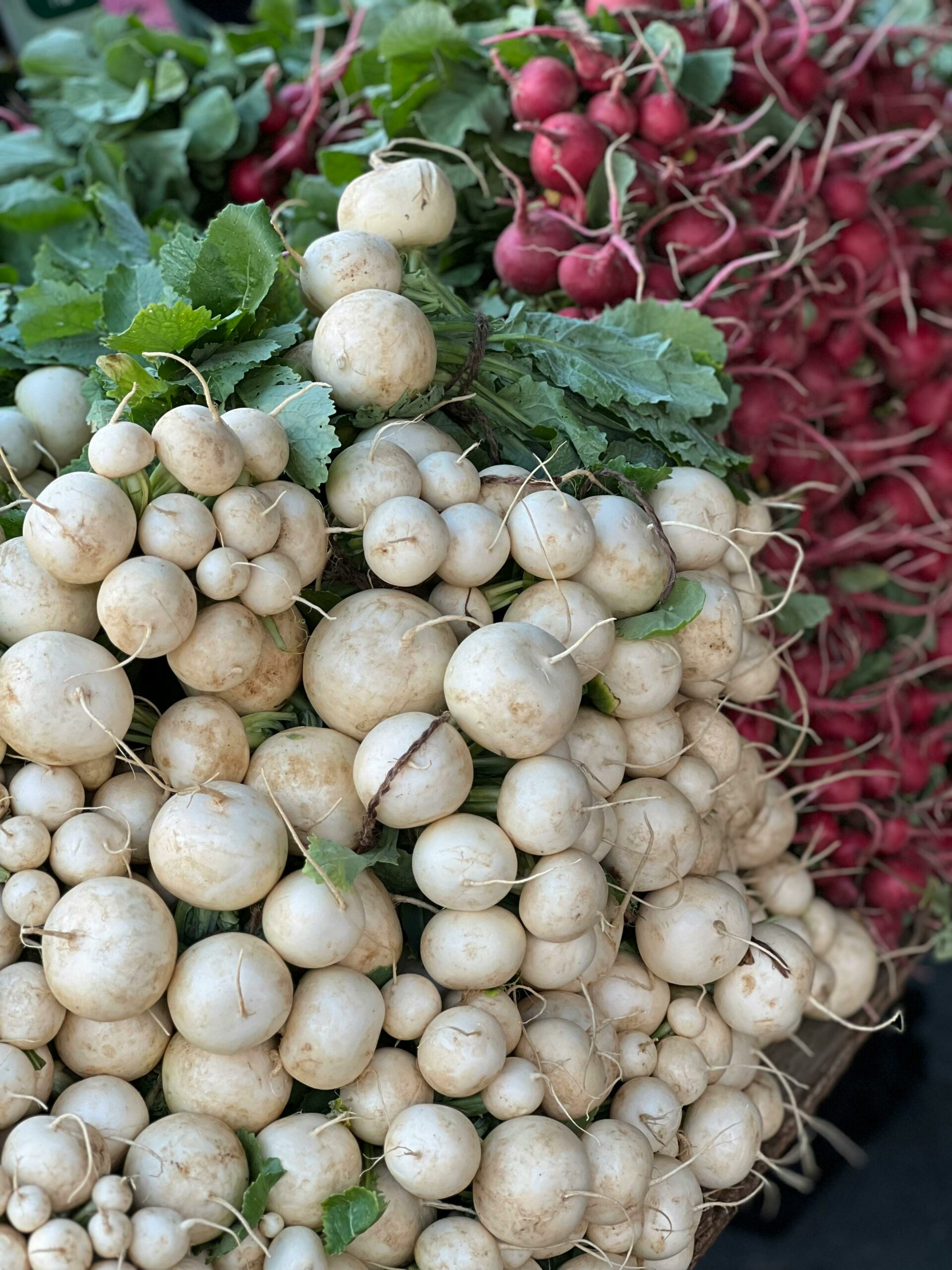 Cover Crops in Your Fall Garden: Radish, Peas, and Oats