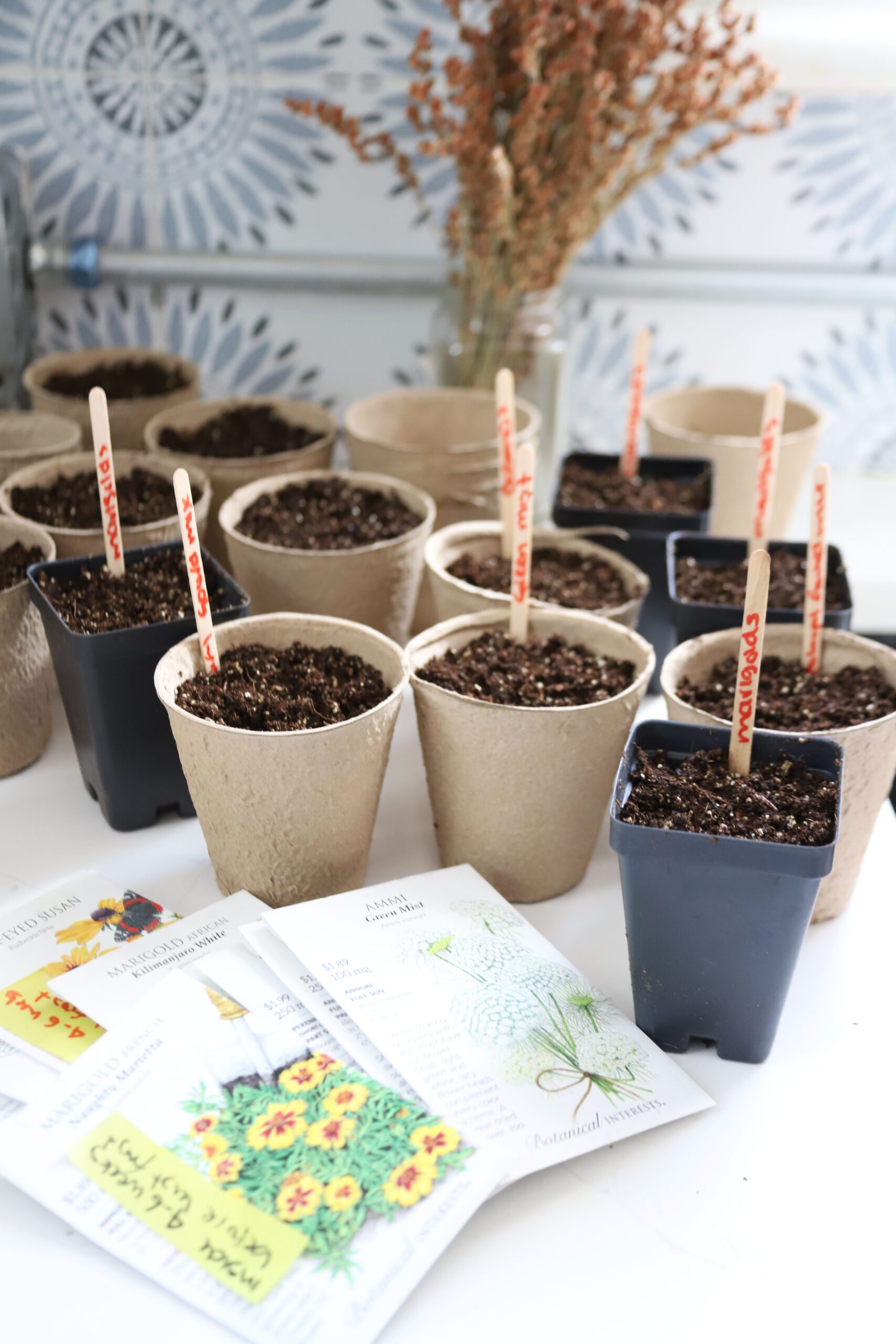Starting Seeds Indoors