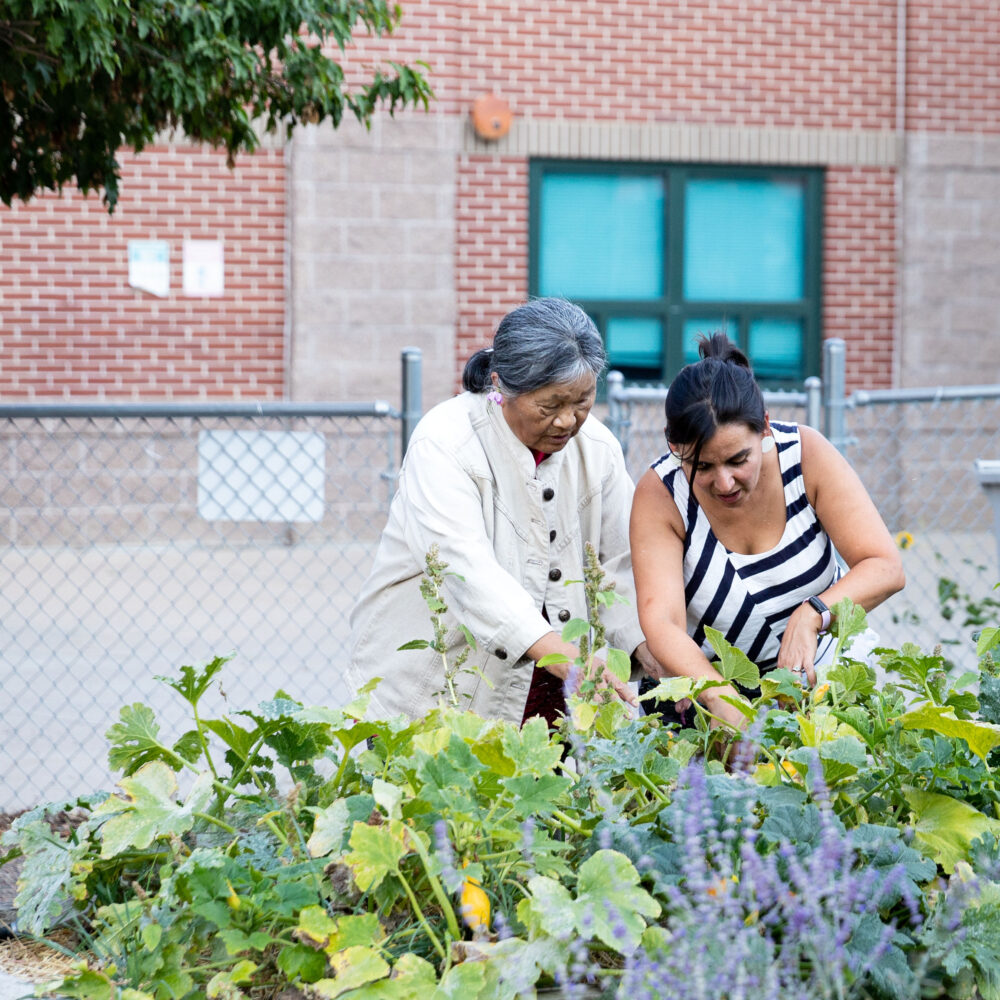 Is “urban homesteading” over?