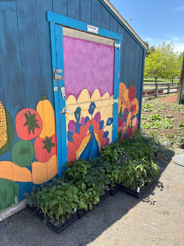 IMG_5576 1 - Denver Urban Gardens