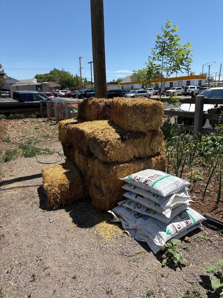 IMG_5577 1 - Denver Urban Gardens