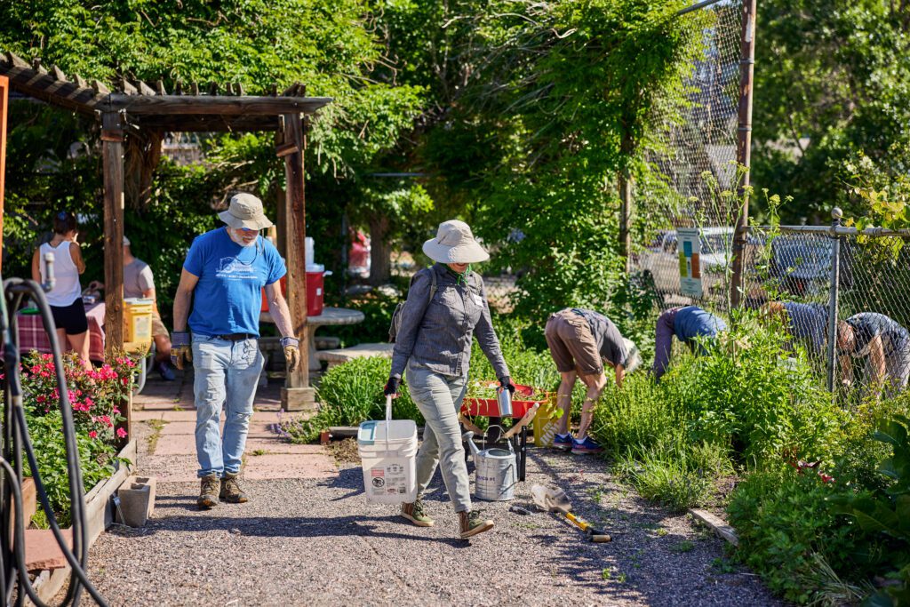 _Q4A0913 - Denver Urban Gardens