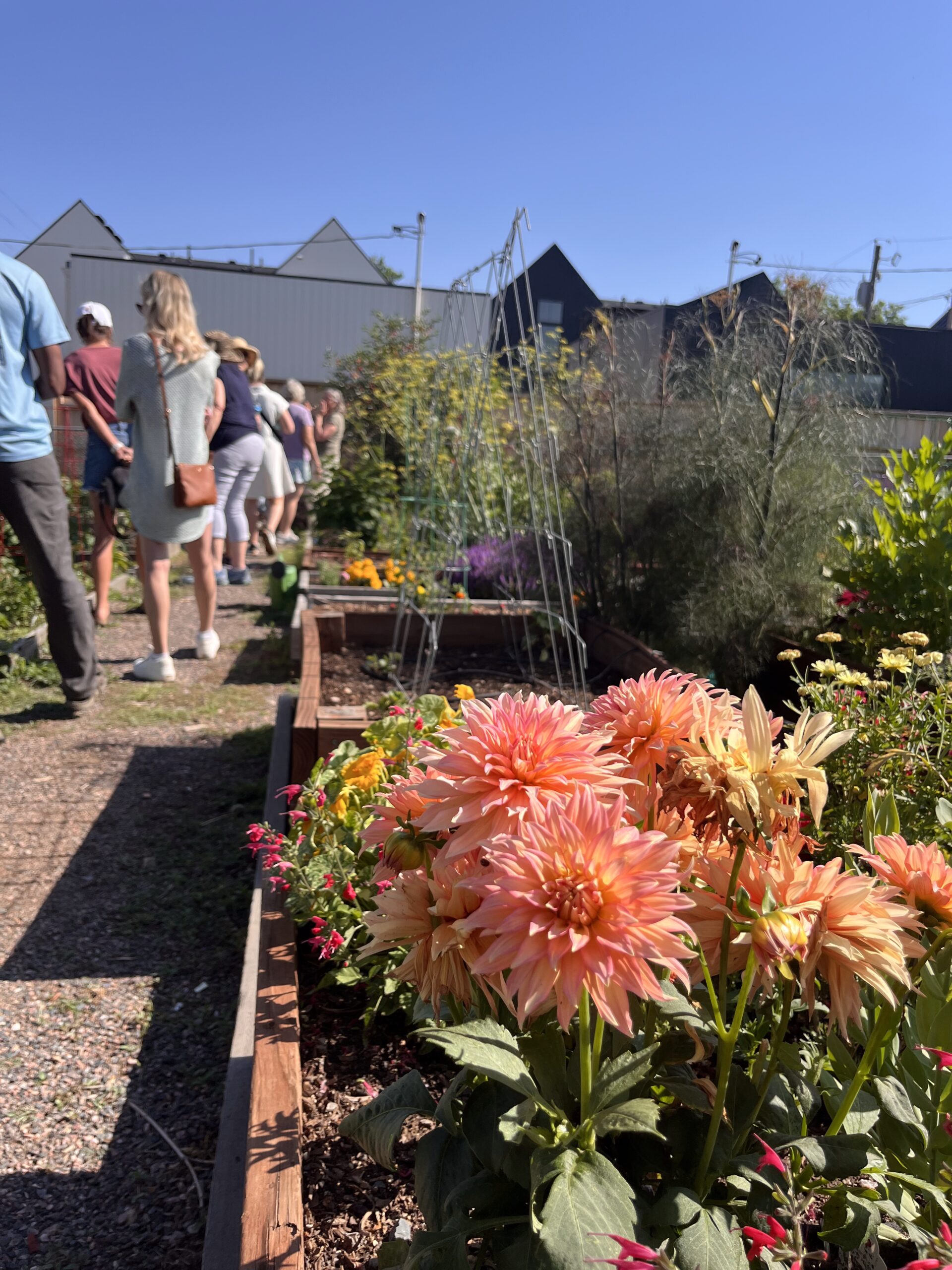 Garden Strolls Come To A Close