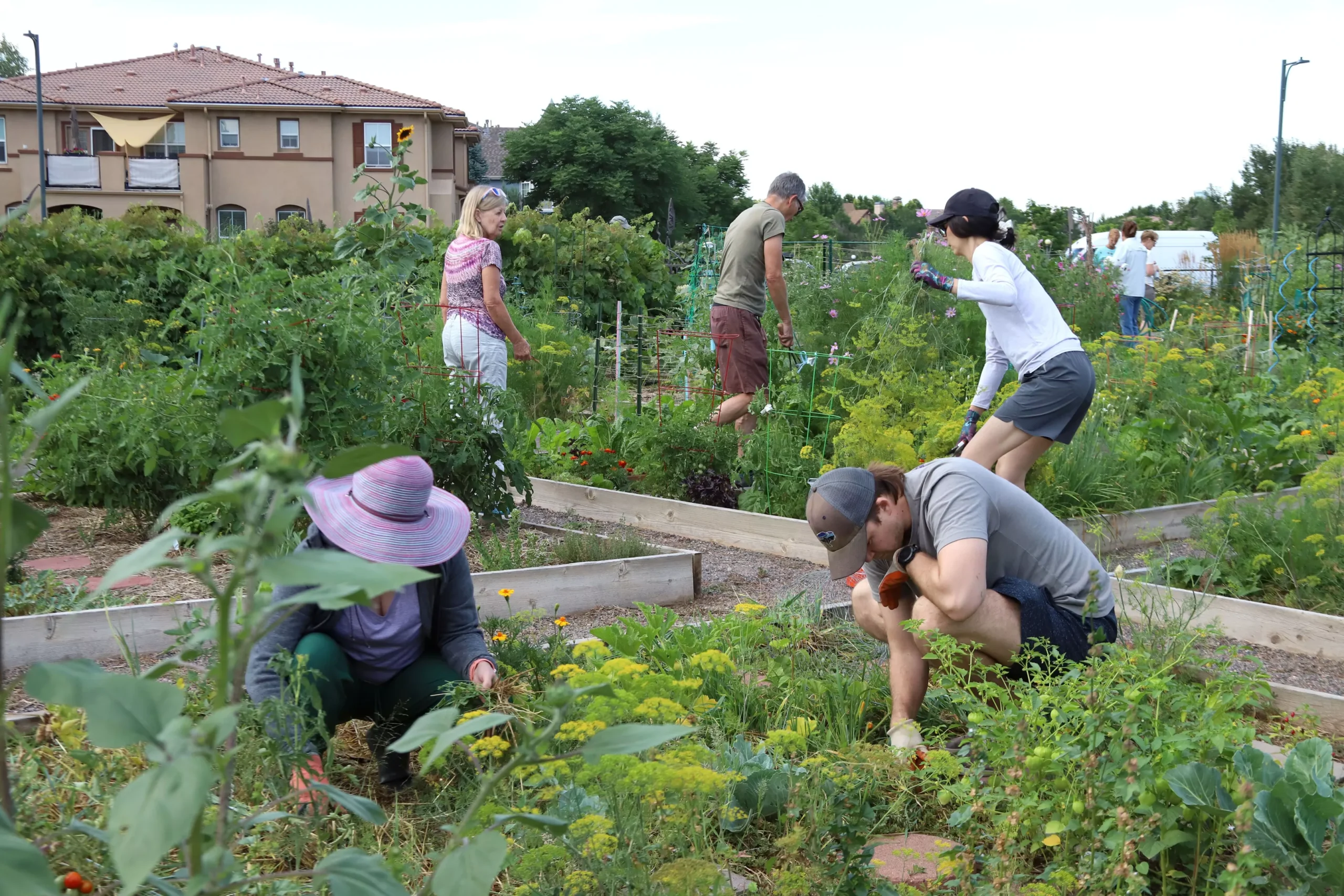 Westword | Plant Now, Eat Later