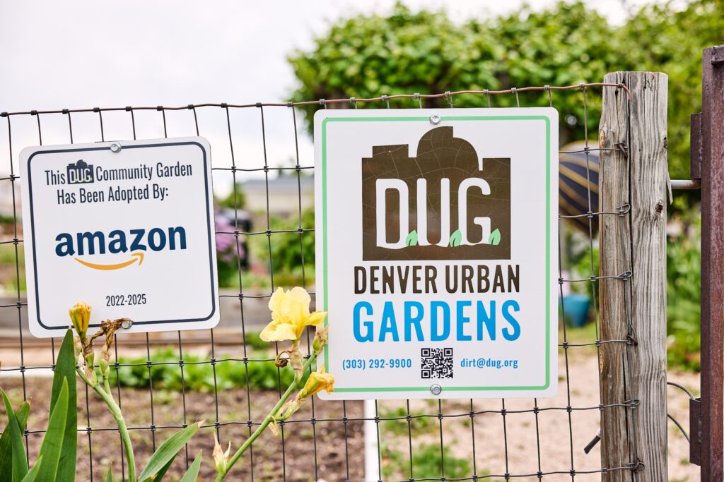 DUG_GardenPhotos_060225_1780 - Denver Urban Gardens