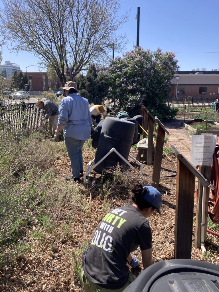 IMG_6220 - Denver Urban Gardens