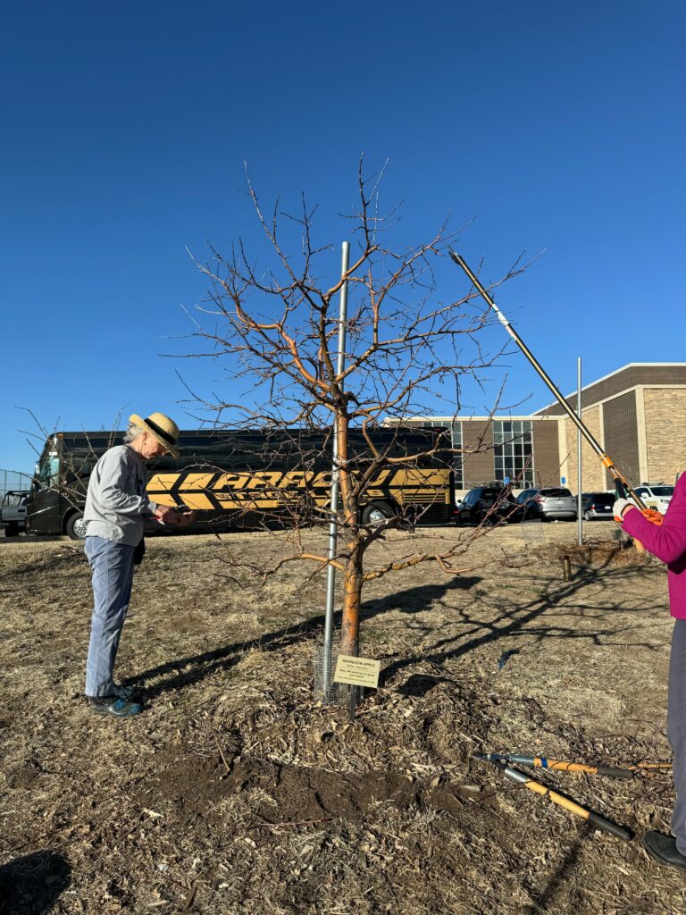 IMG_7843 - Denver Urban Gardens