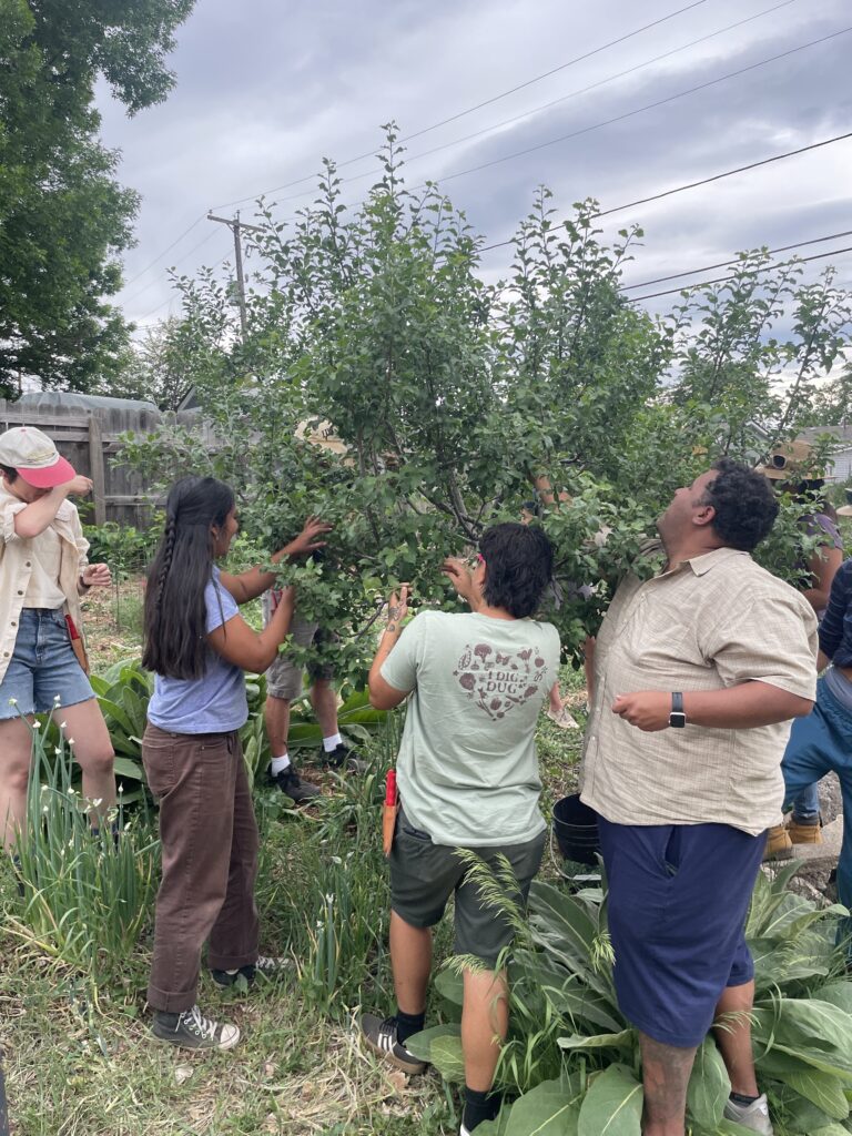 IMG_8458 1 - Denver Urban Gardens